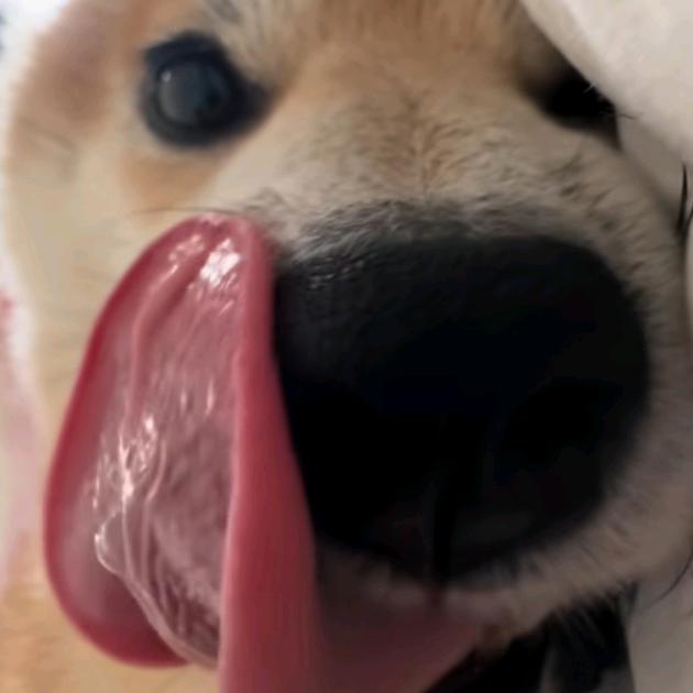 oooooi