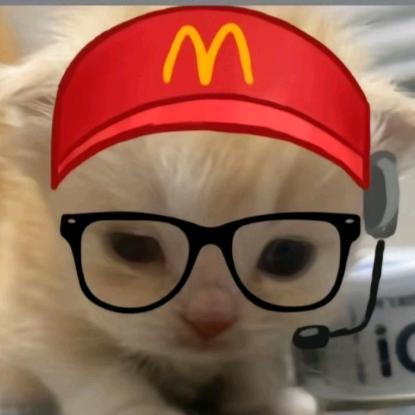喵猫