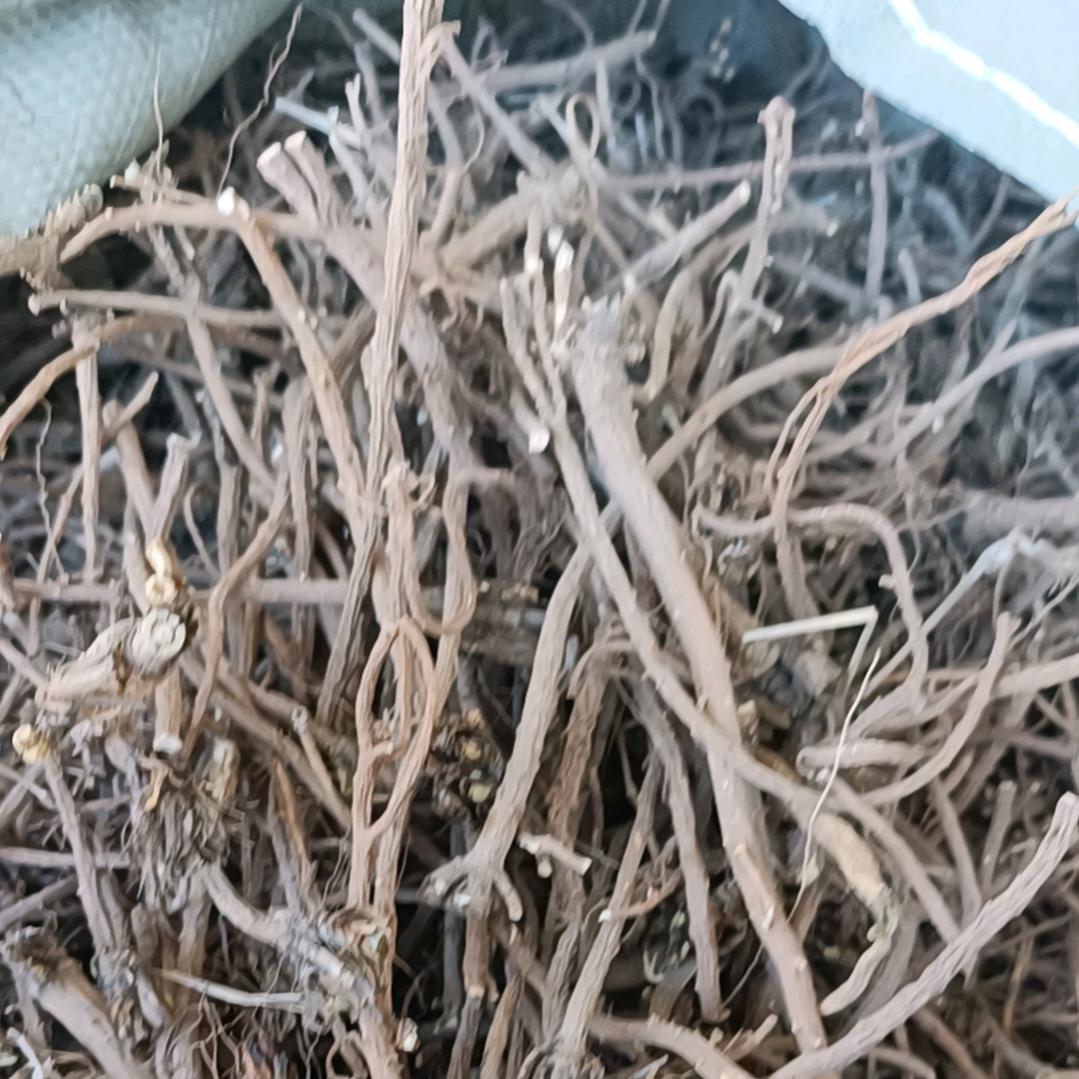 阿杰药材产地柴胡远志