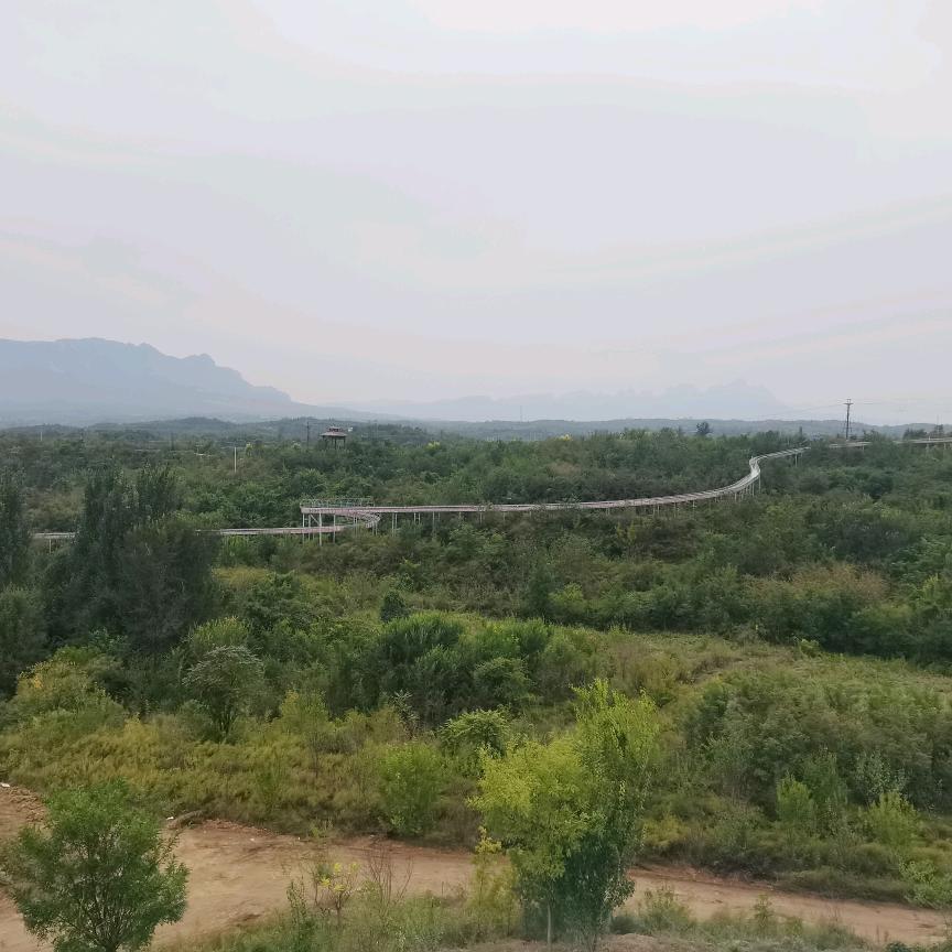 忘記時光的我