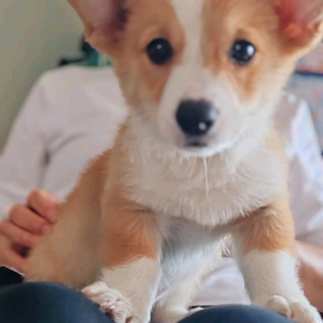 66（Street talker）