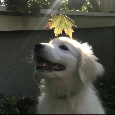 酷炫狂拽吊炸天的大帅哥