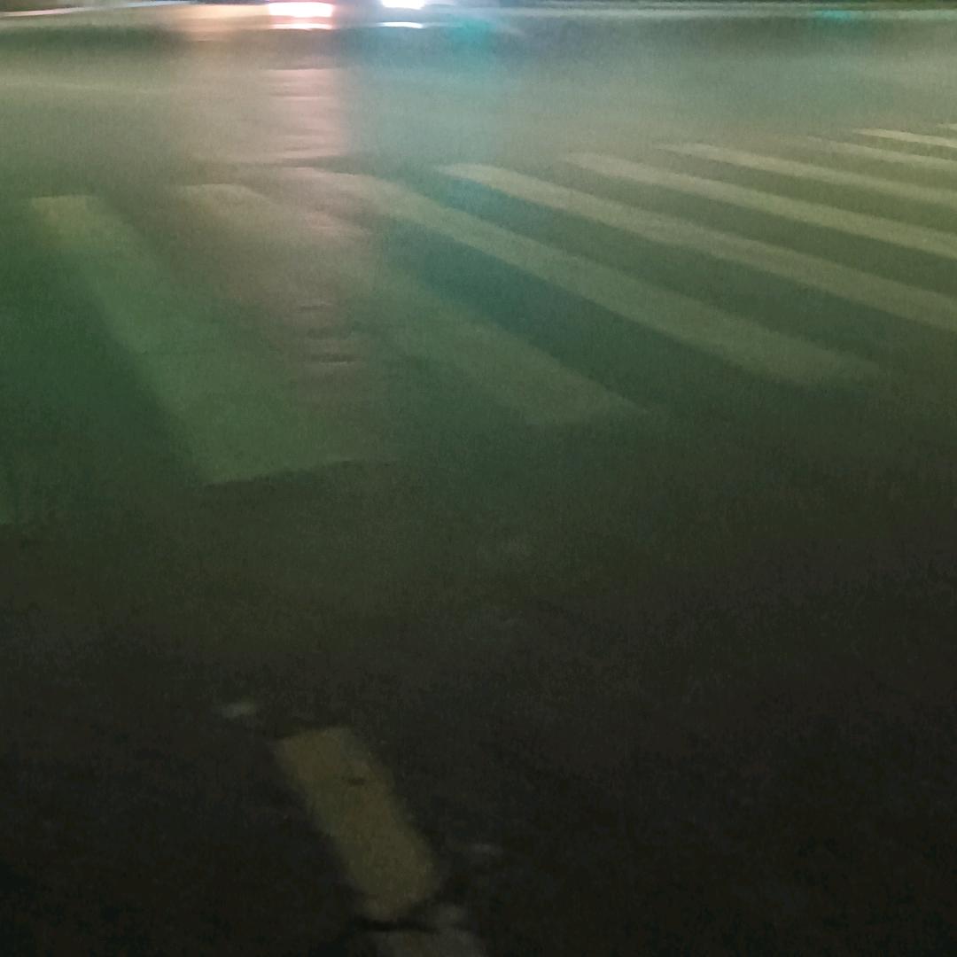 不离不弃