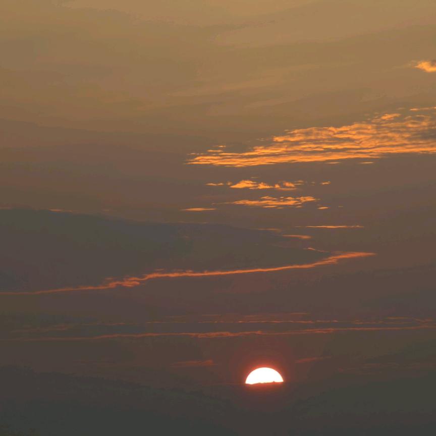 潘幺妹紫云牛肉