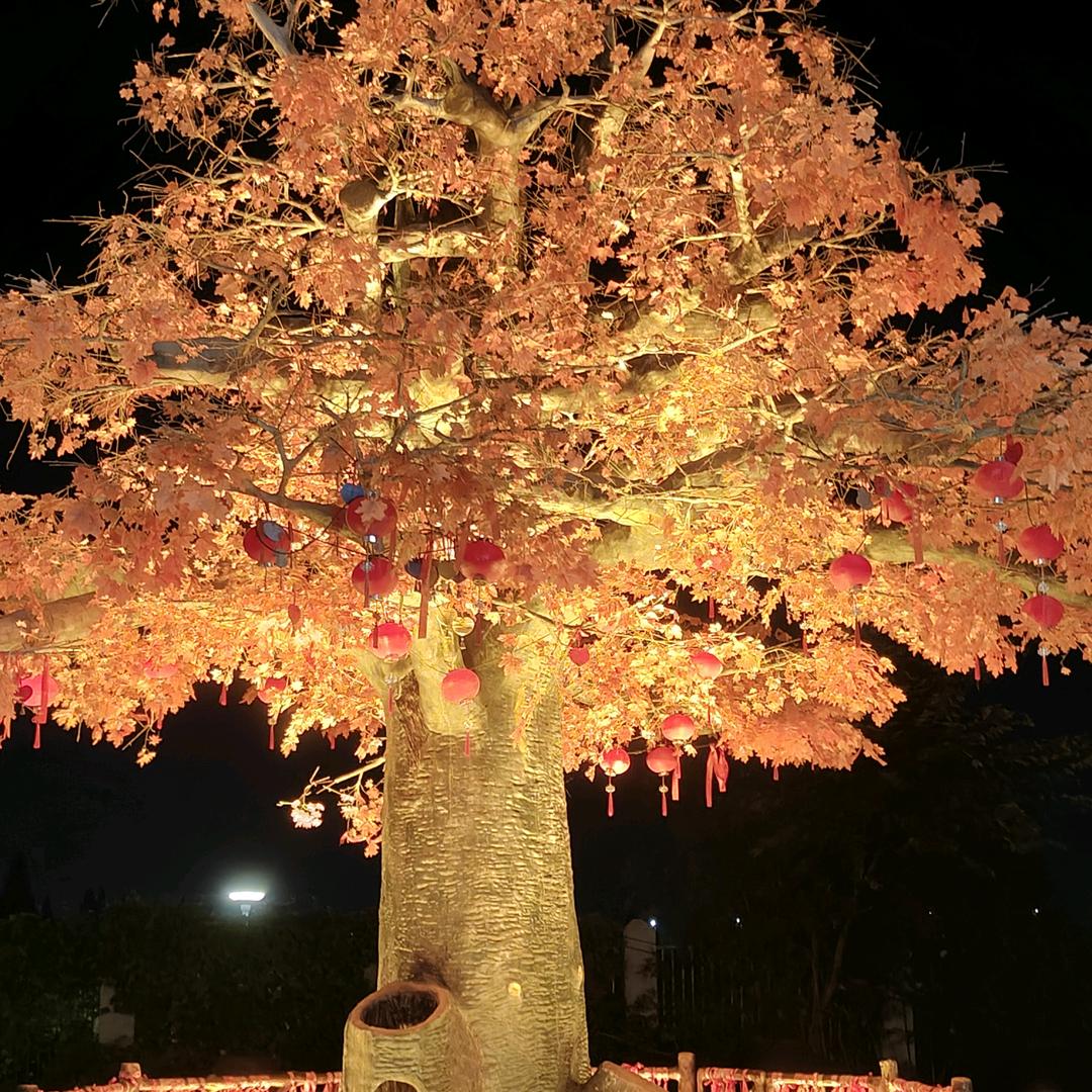 💕₅²⁰芳ઈོ丫头