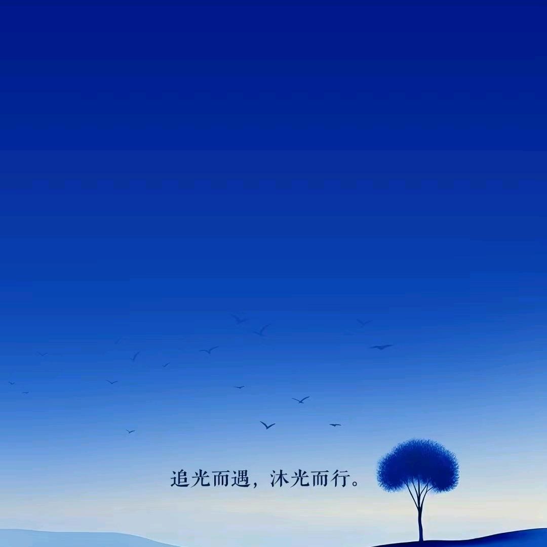 沐光而行头像
