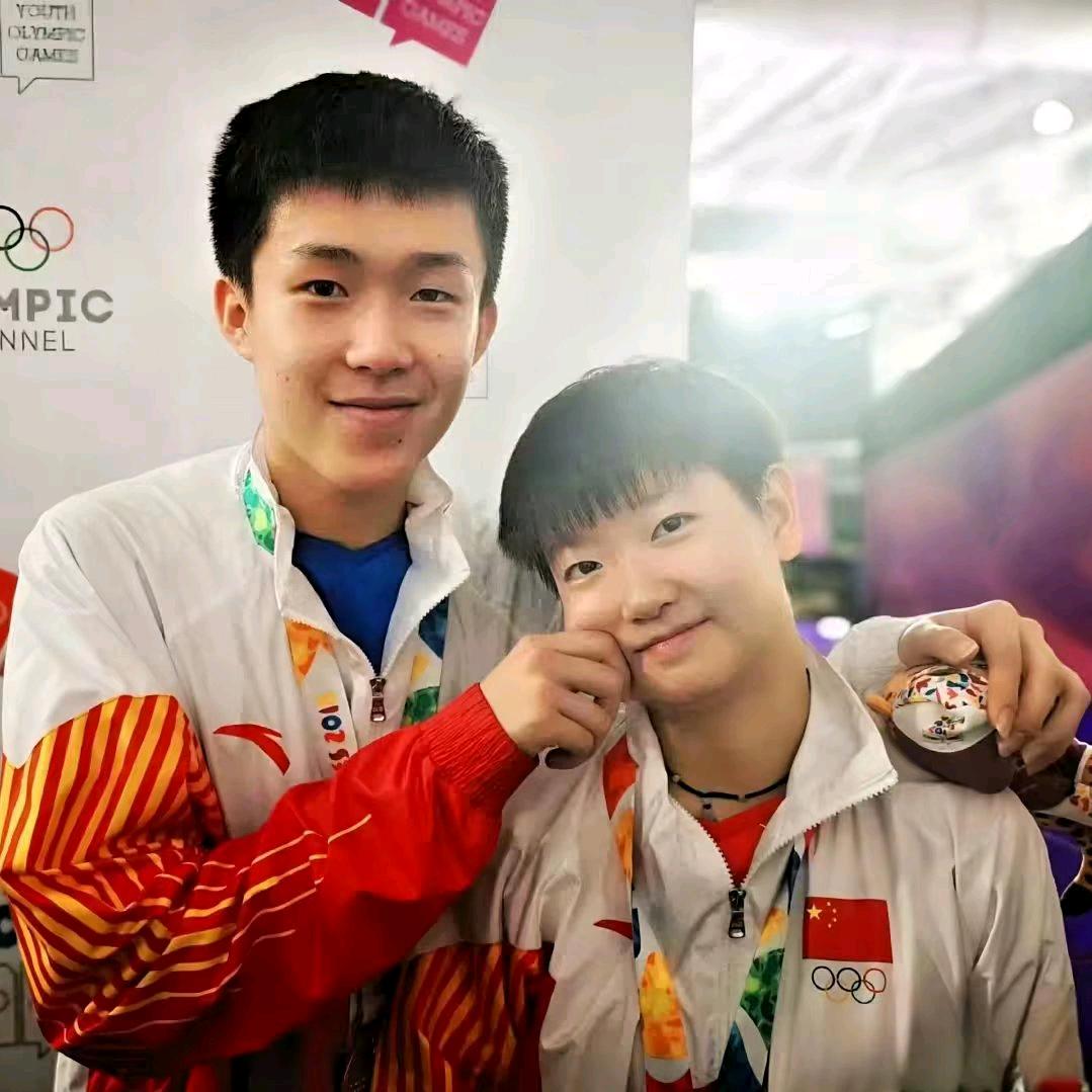 树上岛🏓