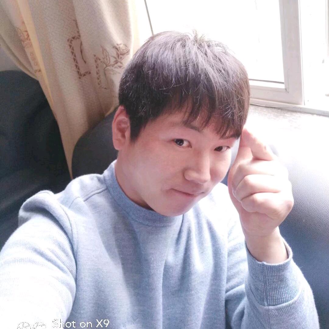 不会飞的WJ