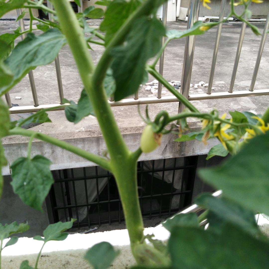 用户01675415976569