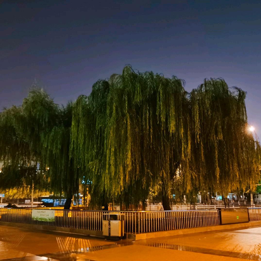 水晶花
