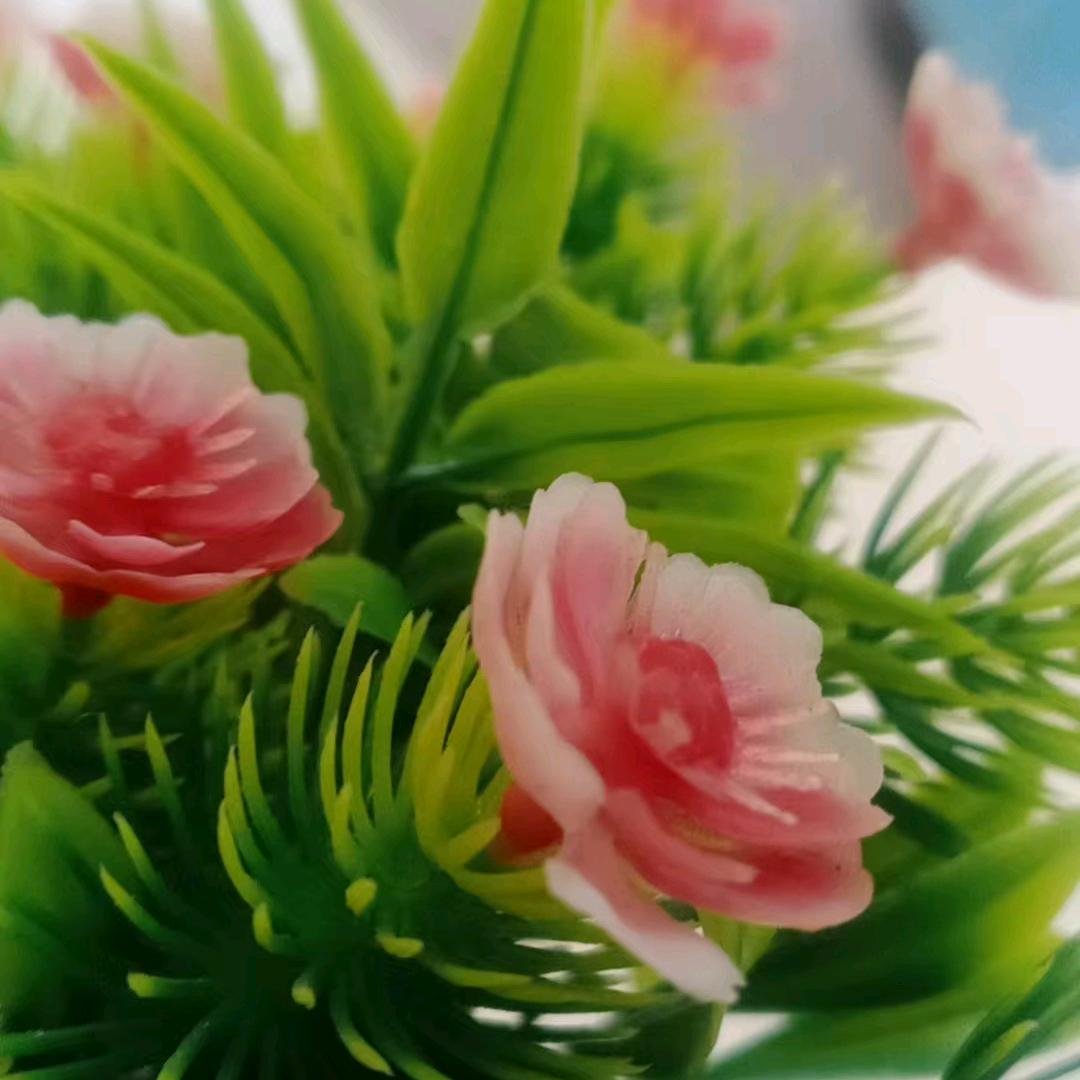 小雨伞