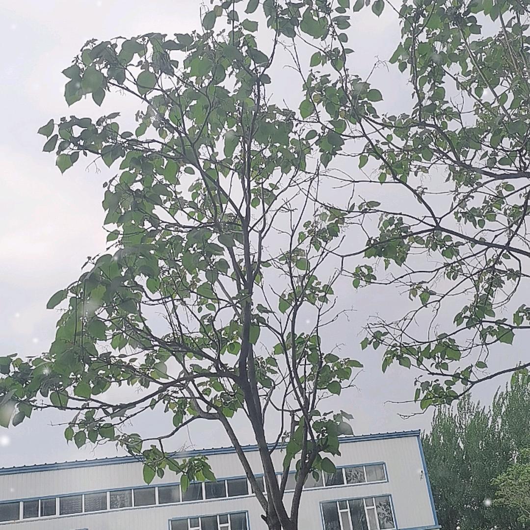 英姐正能量