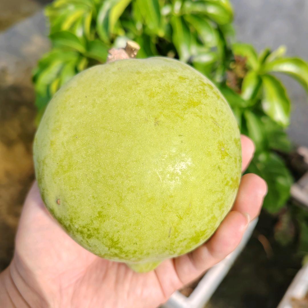 ～小 ～鲨∽⁹⁹⁹⁹