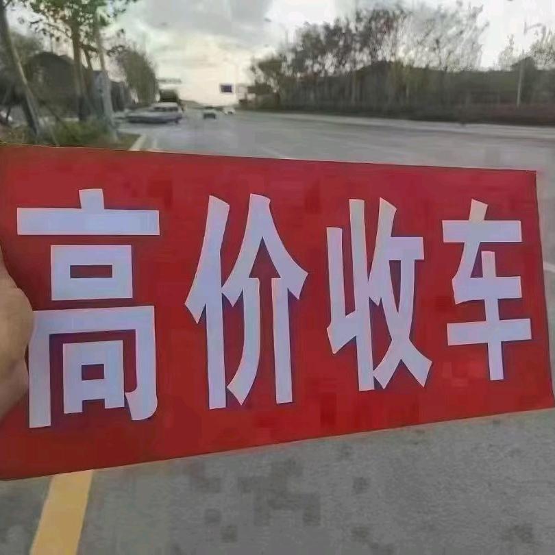 西藏林芝市行千里2手车