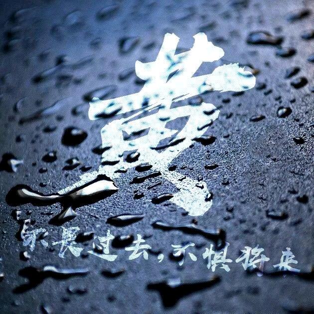 油车新能源租售🚎