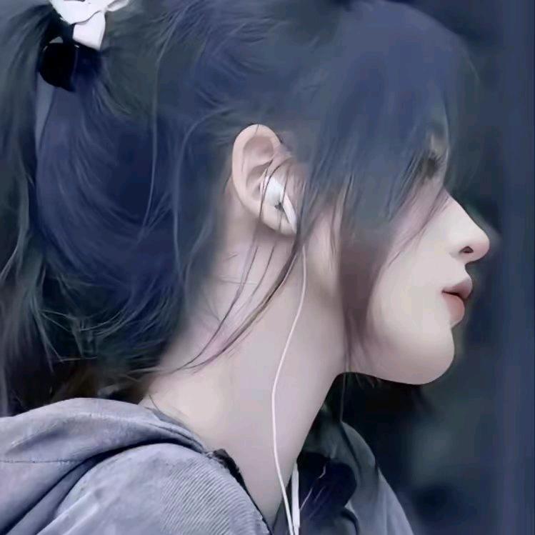 孤鹜落夏