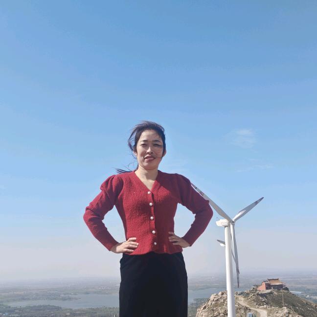 方城县蒙娜丽莎瓷砖辉姐