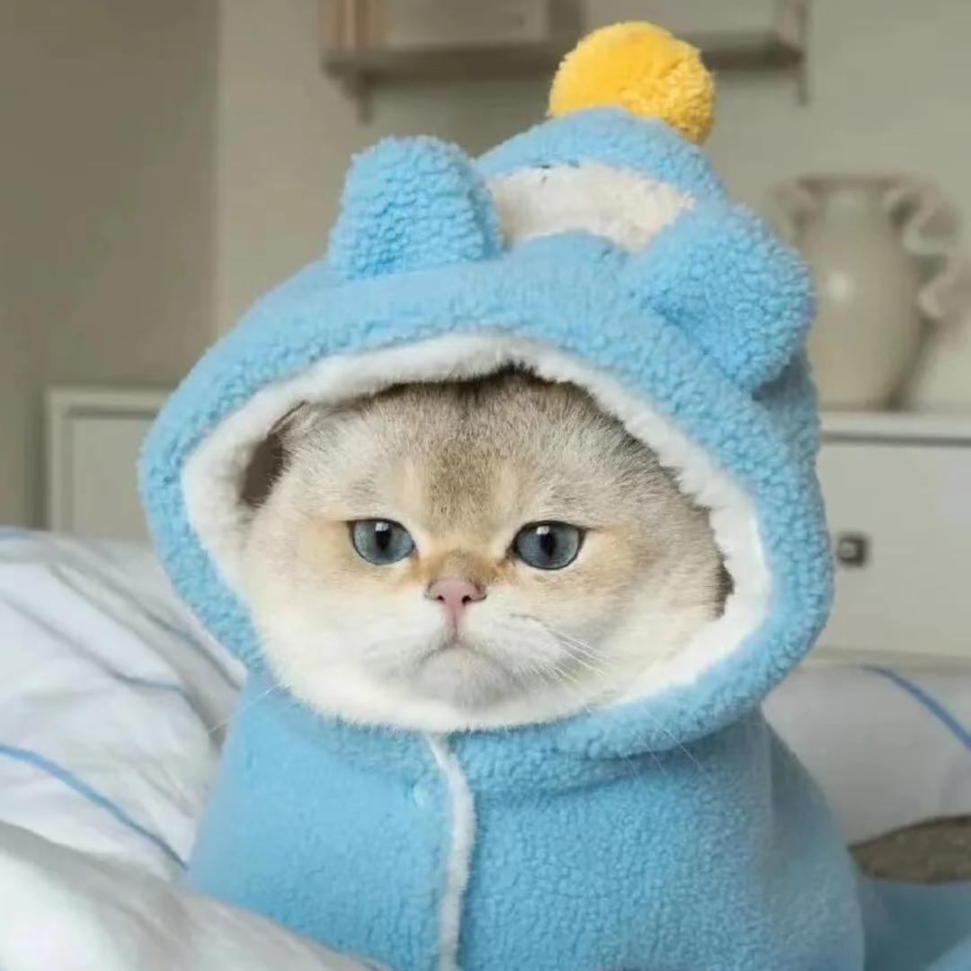 时迁