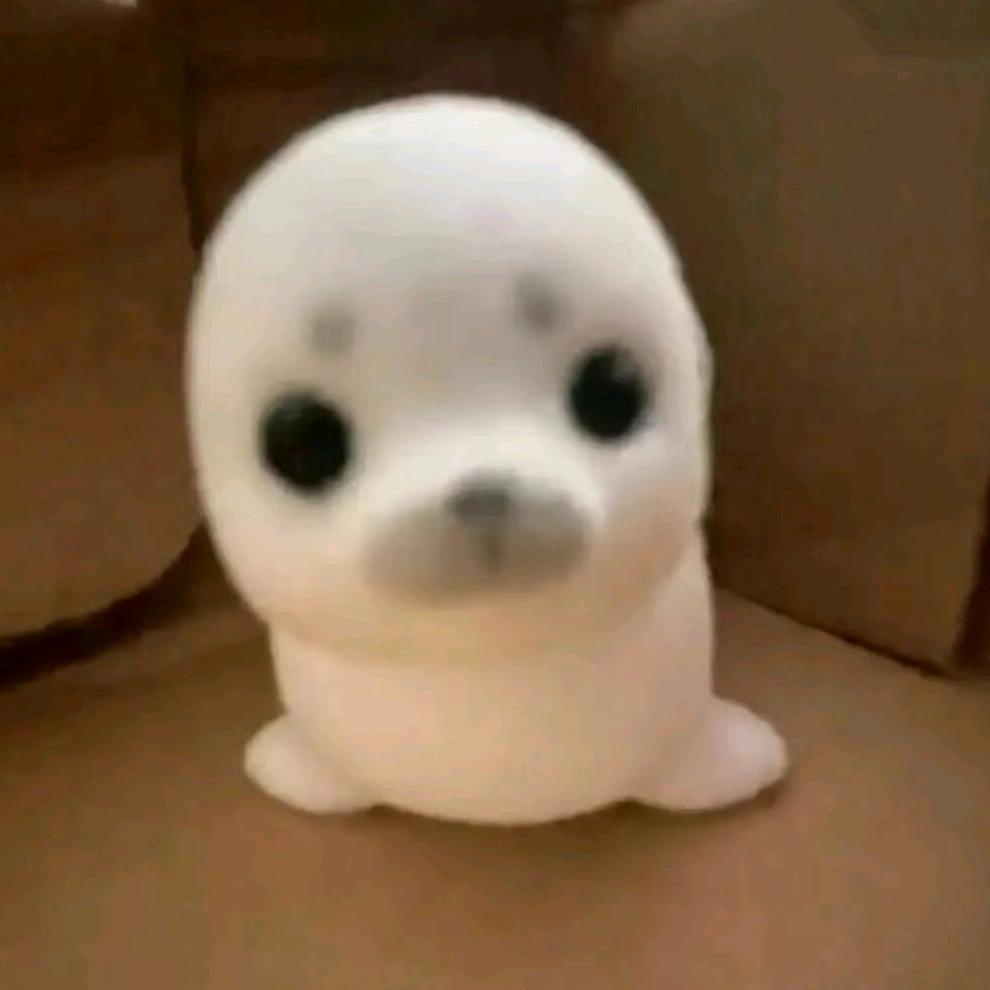 YING（高三闭关版）