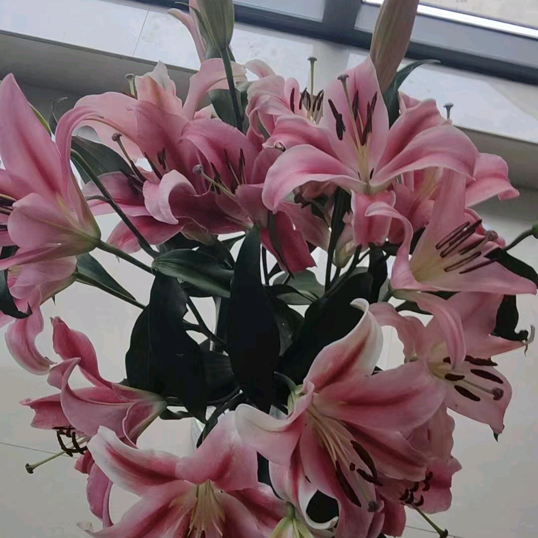 从此退出爱情路