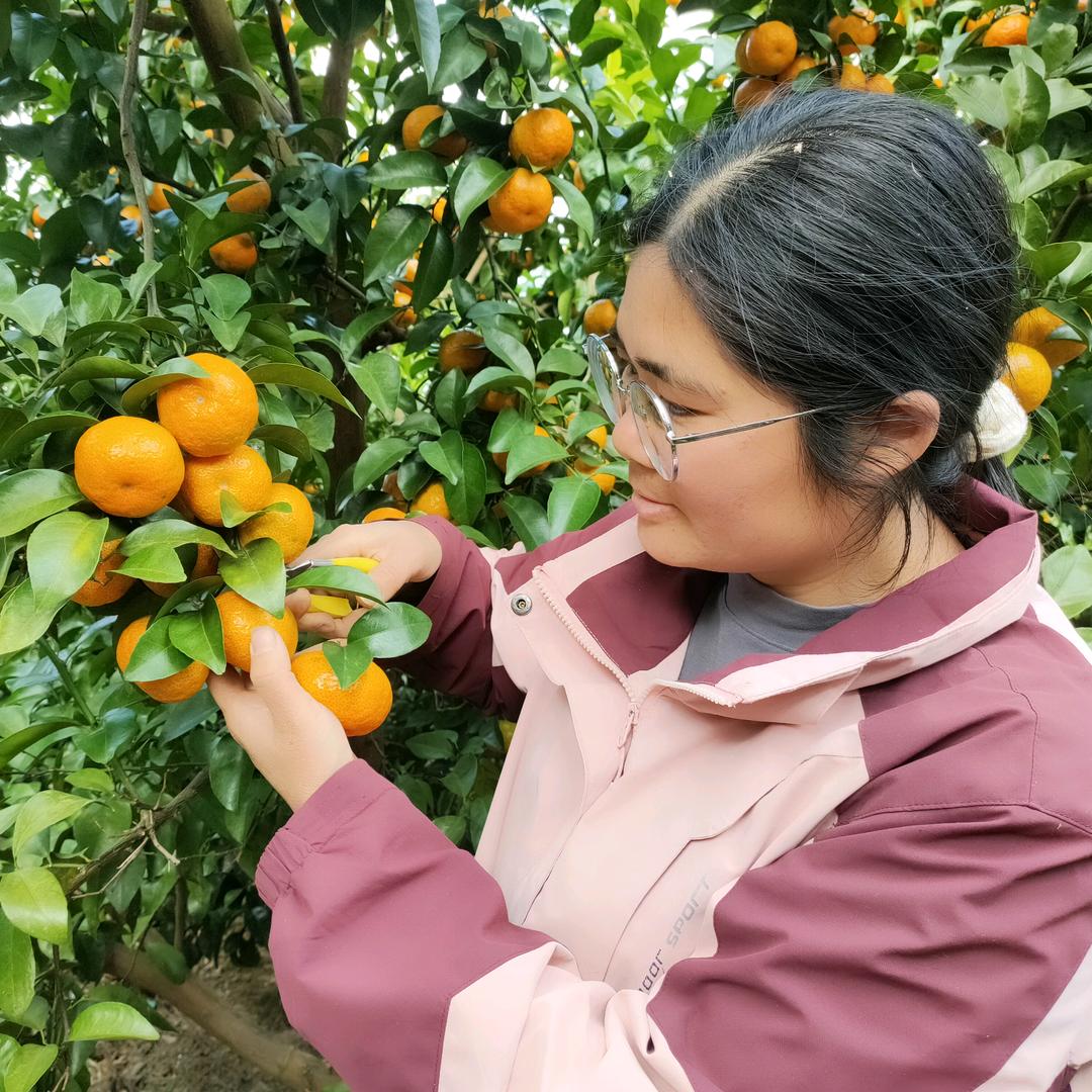 清清甜农妇瓜果蔬菜