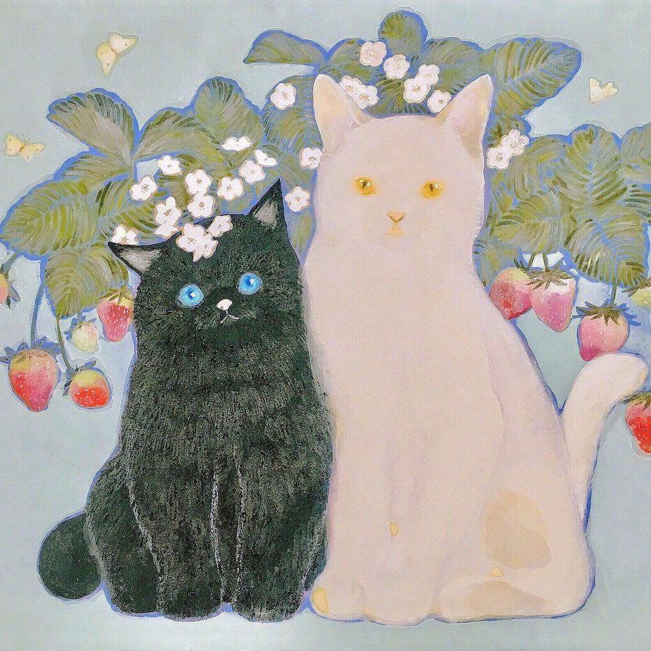 小猫爱学习
