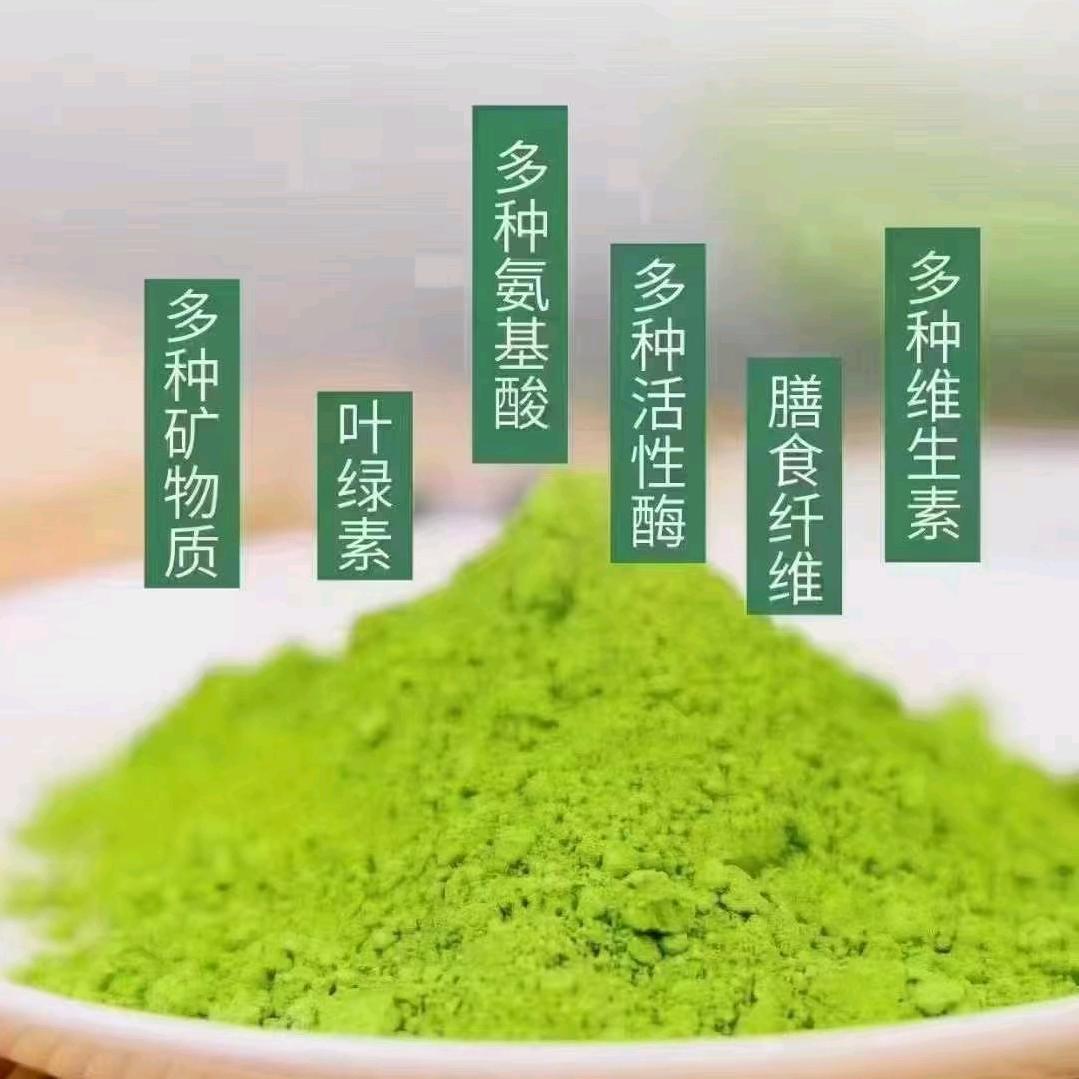 身体规划师