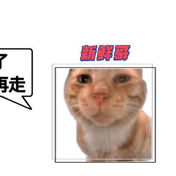 宿舍长安路口袋书店里了。