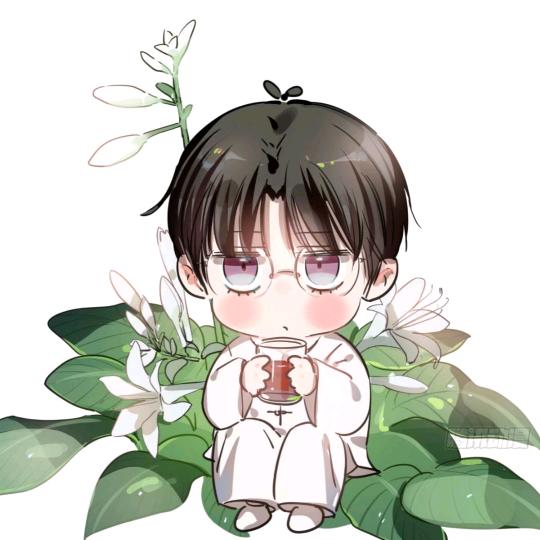 Levi