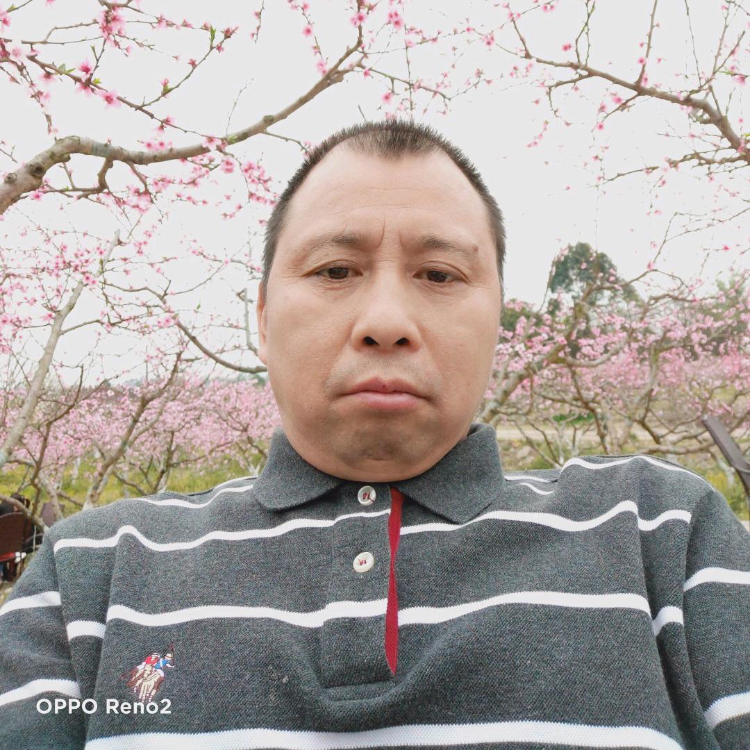 一帆风顺