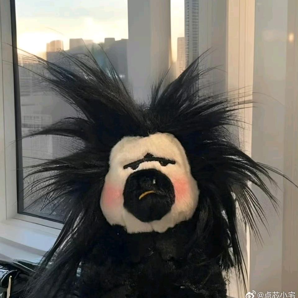 浅究