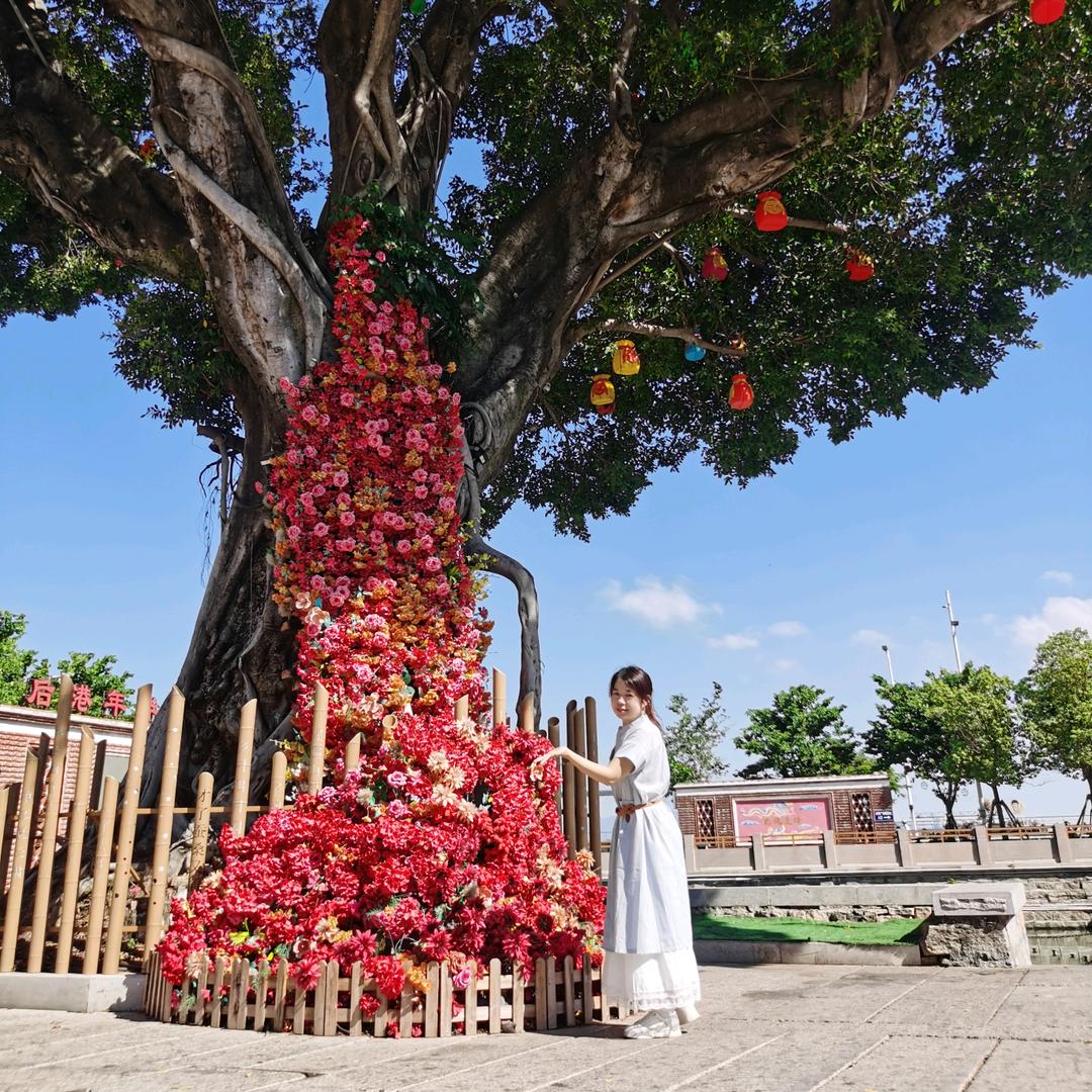 天知道我怎么迷路的