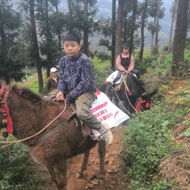 天天在奋斗。
