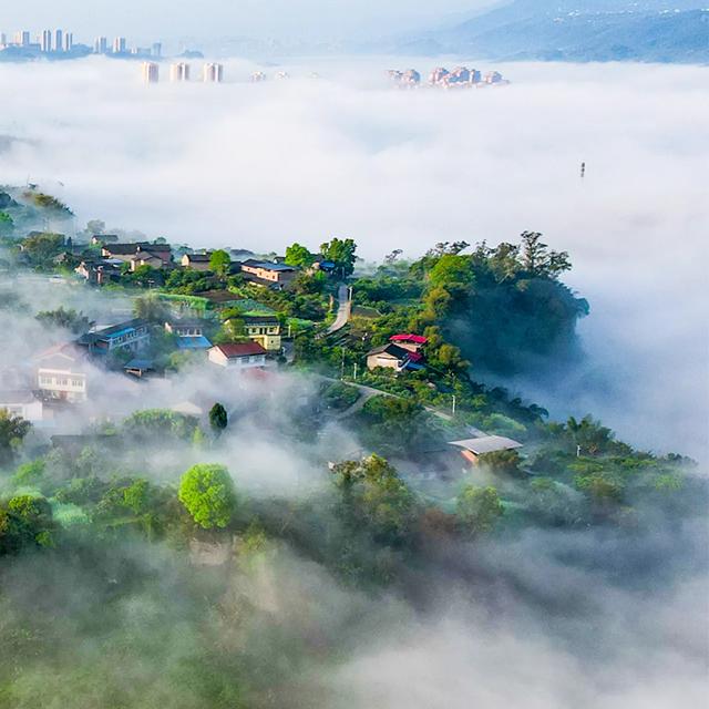 春天的阳光