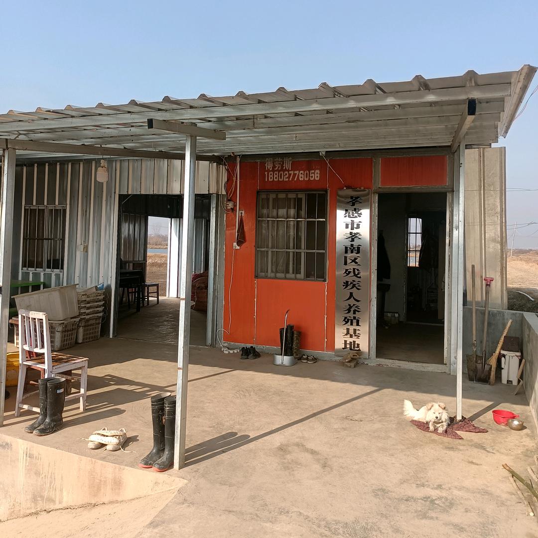 孝感市残疾人♥养殖基地