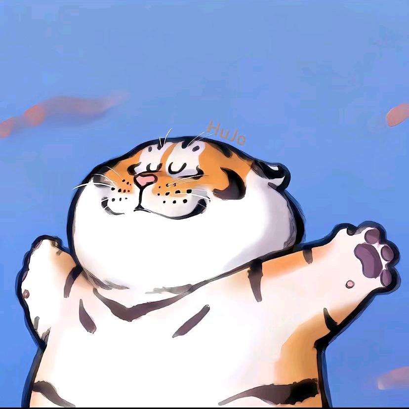 渣挖的滴滴司机