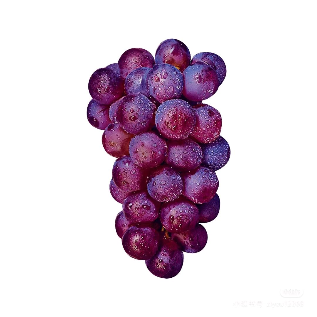屿