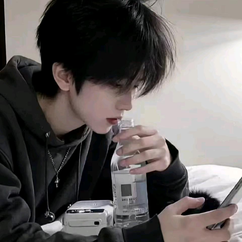 朝   凤   枪⚜️