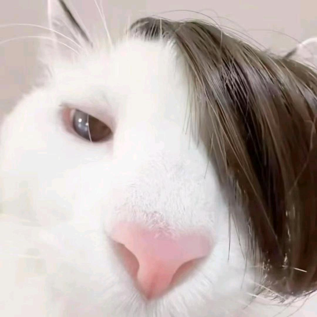 绝对正义之拳