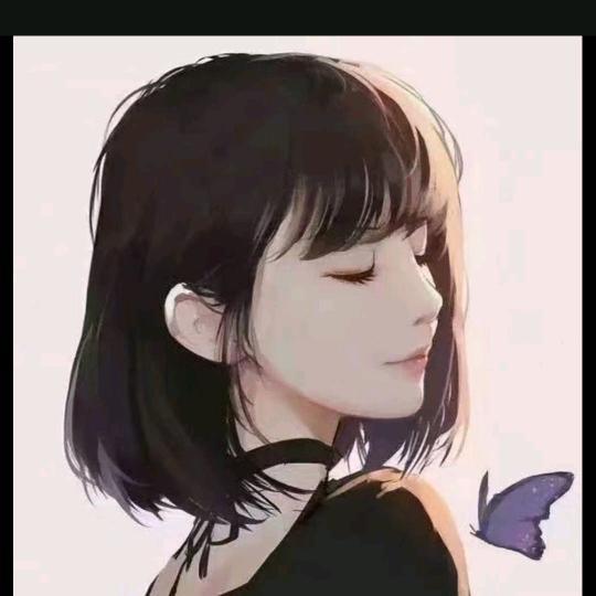 四叶草