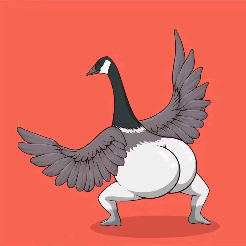 练得身形似鹤形