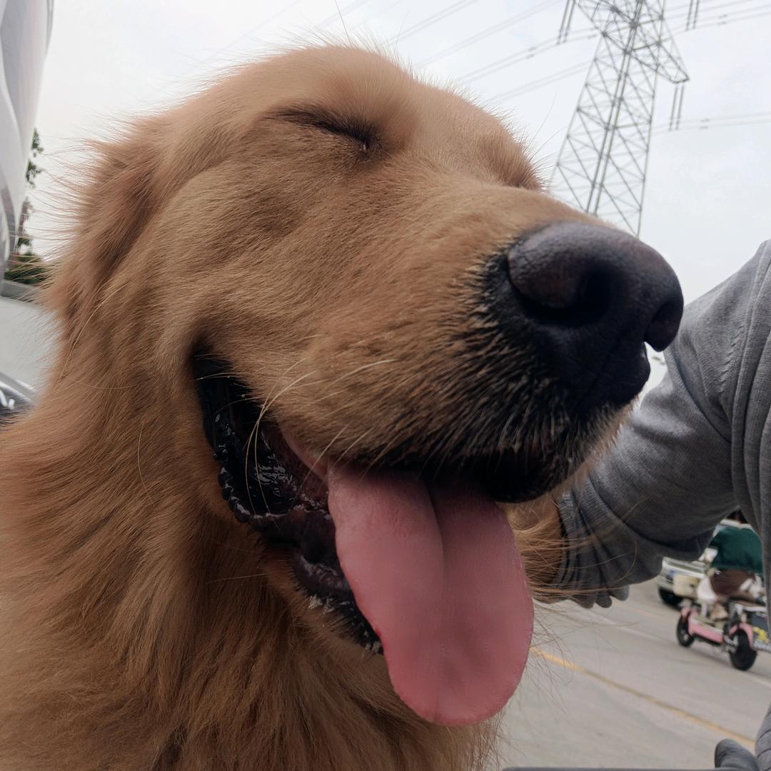 ♞💫锋雨兼程✨