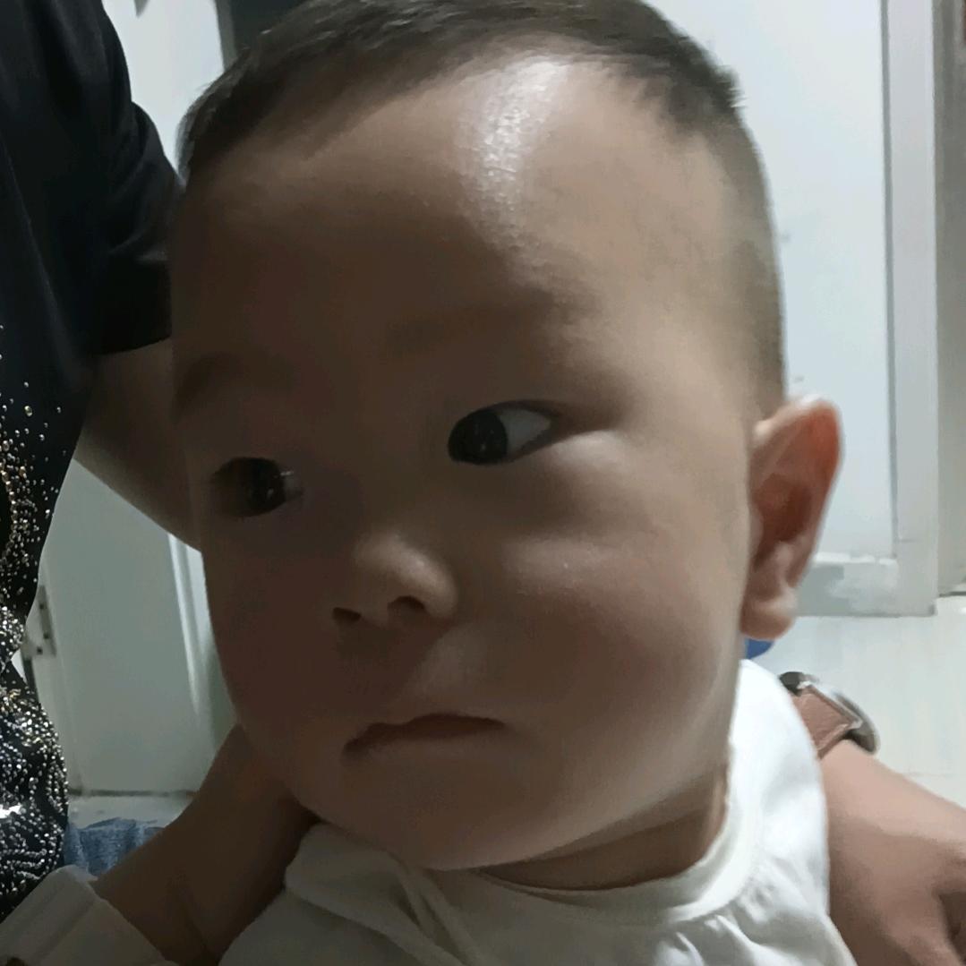 乘风破浪XX556677XⅩ