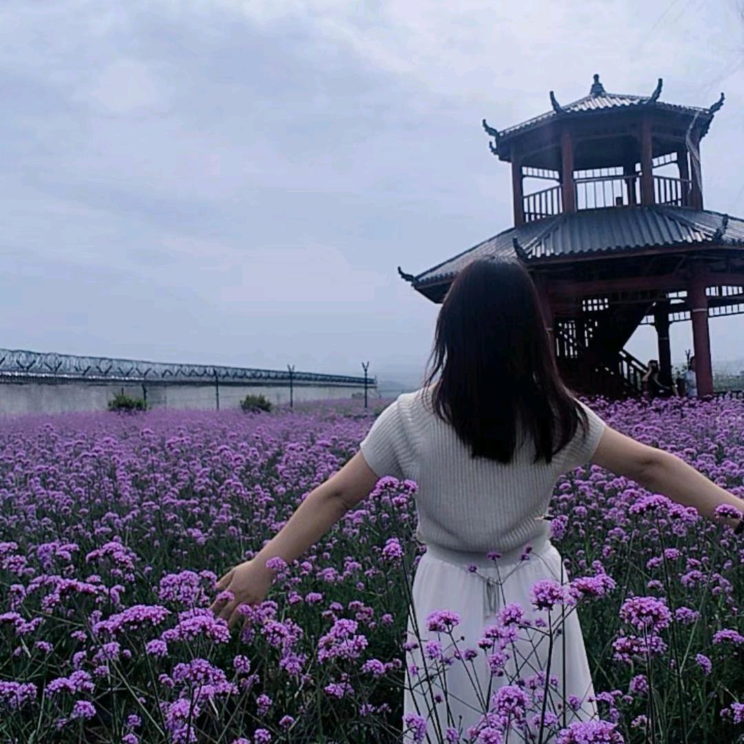 小锐@ωㄚ