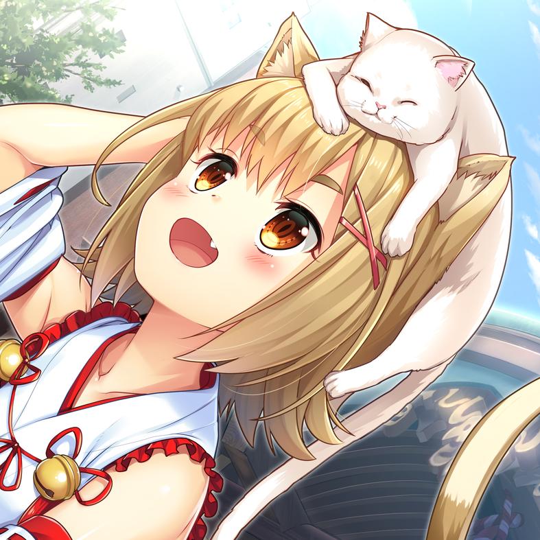 猫雷头像