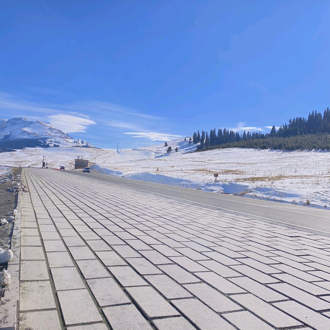 云淡风轻丶丶丶