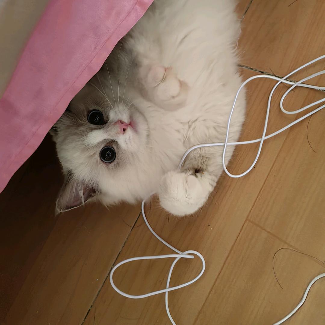 嘛哩嘛哩哄˵¯͒〰¯͒˵