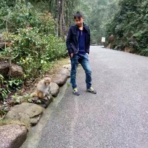 一蚊几毫