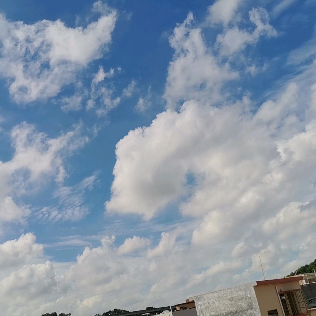露露吖