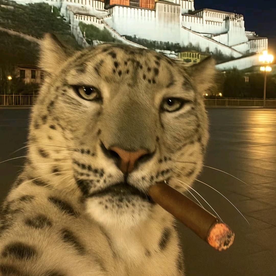 达力